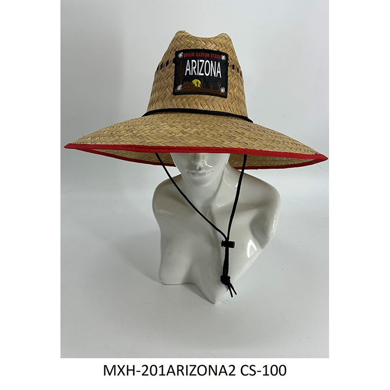 MXH-201ARIZONA2  CS-100